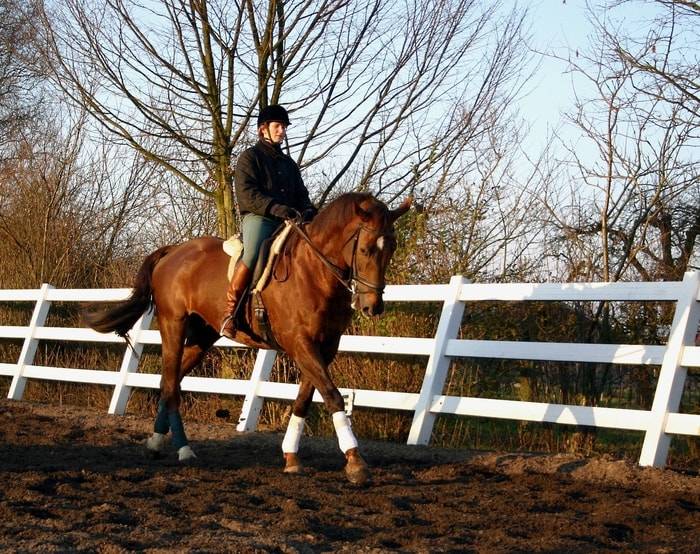 Equestrians, Head Up & Shoulders Back!